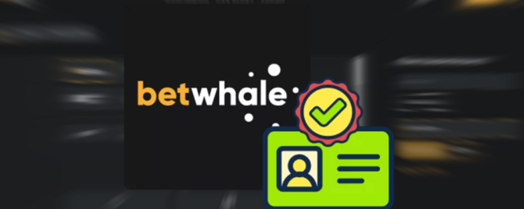 Betwhale Login A Comprehensive Guide to Secure and Smooth Access 1